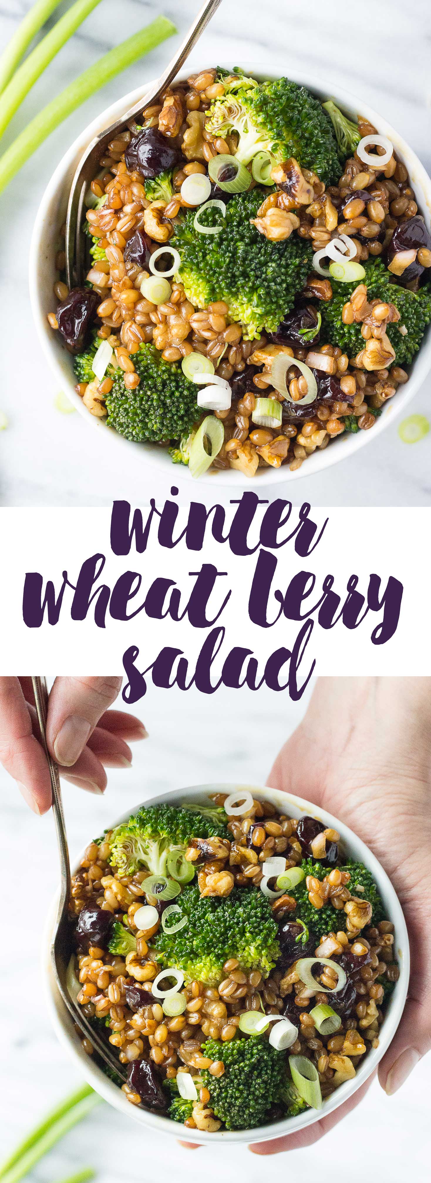 Winter Wheat Berry Salad –broccoli, dried cherries, and toasted walnuts tossed in a sweet and savory dressing. // Fork in the Kitchen
