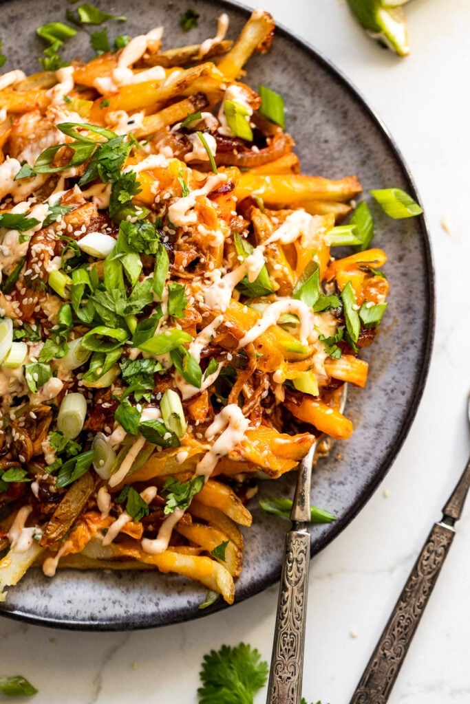 Up close plate of kimchi fries with fork.