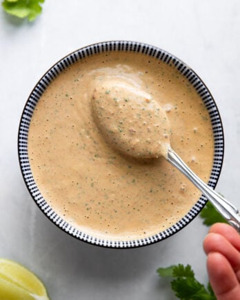 Bowl of chipotle sauce with spoon lifting.