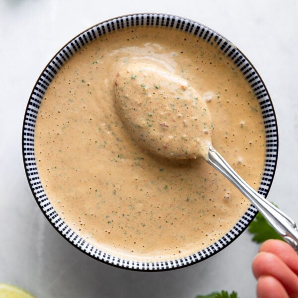 Bowl of chipotle sauce with spoon lifting.