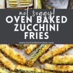 Zucchini Fries Pinterest Image