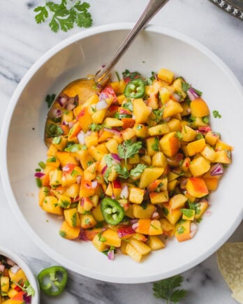 5 Ingredient Peach Salsa - an easy snack or addition to tacos, fish, or a salad! #recipe #forkinthekitchen #quick #5ingredients | Fork in the Kitchen