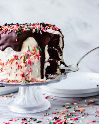 Mini Chocolate Cake with Sour Cream Frosting with chocolate and sprinkles on tray | Fork in the Kitchen