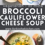 Broccoli Cheese soup pinterest image 1