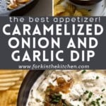 Caramelized onion and garlic dip pinterest image