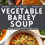 Vegetable Barley Soup Pinterest Image