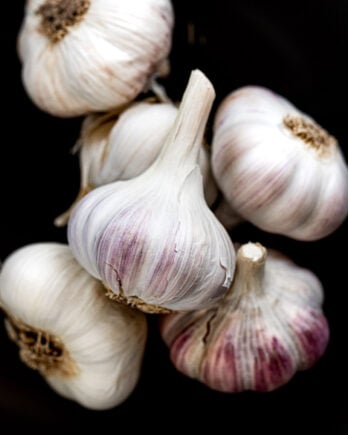 Up close garlic bulb in bowl.