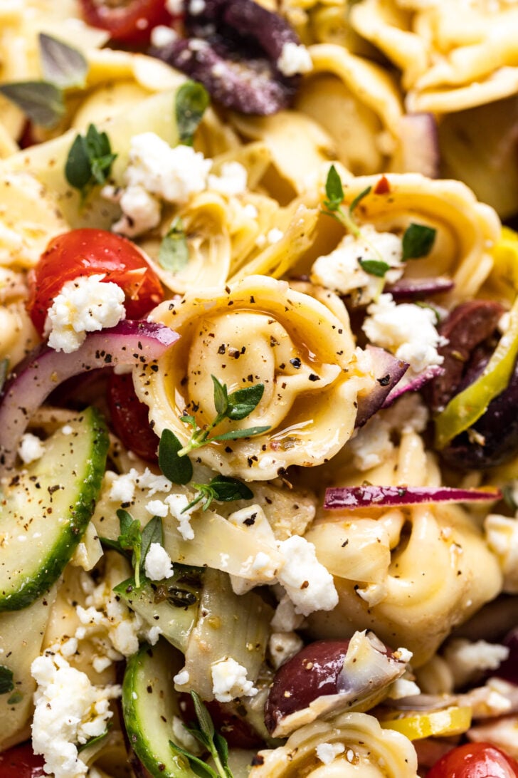 Up close tortellini in pasta salad with cucumber, tomato, olives.
